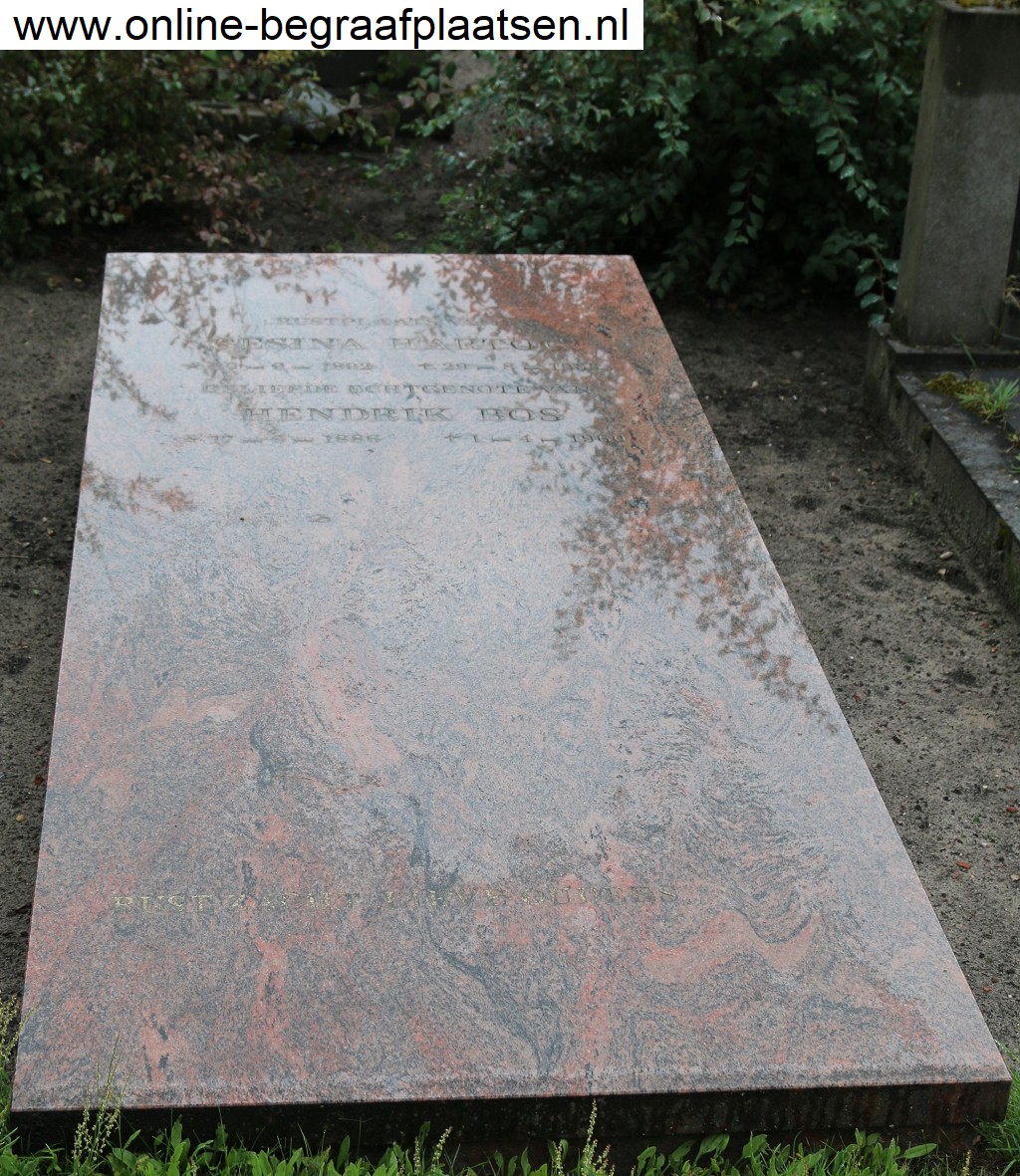 Hendrik Bos